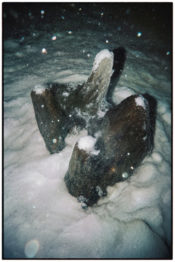 1aa3d447-b4d6-4cf6-8943-30dee26581d7 copy (900)