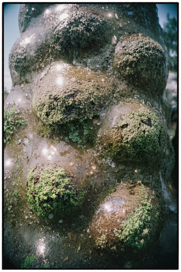 367ff20f-7c92-4843-bf0a-93c510e4a6b0 copy (900)