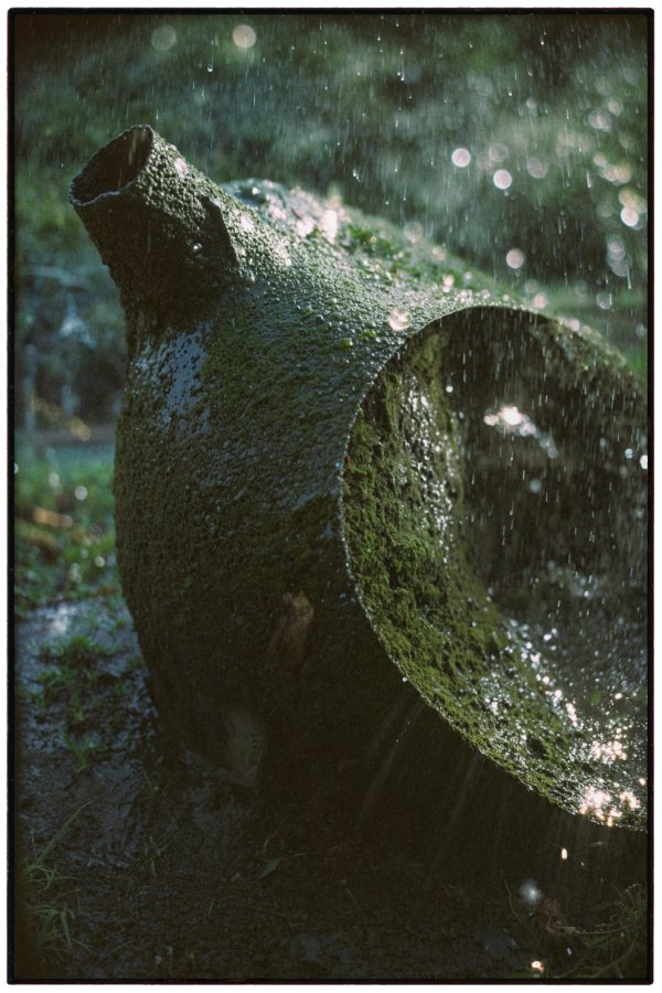 46f5ccc0-6a30-4022-b91a-aa5bd70a67d4 copy (900)