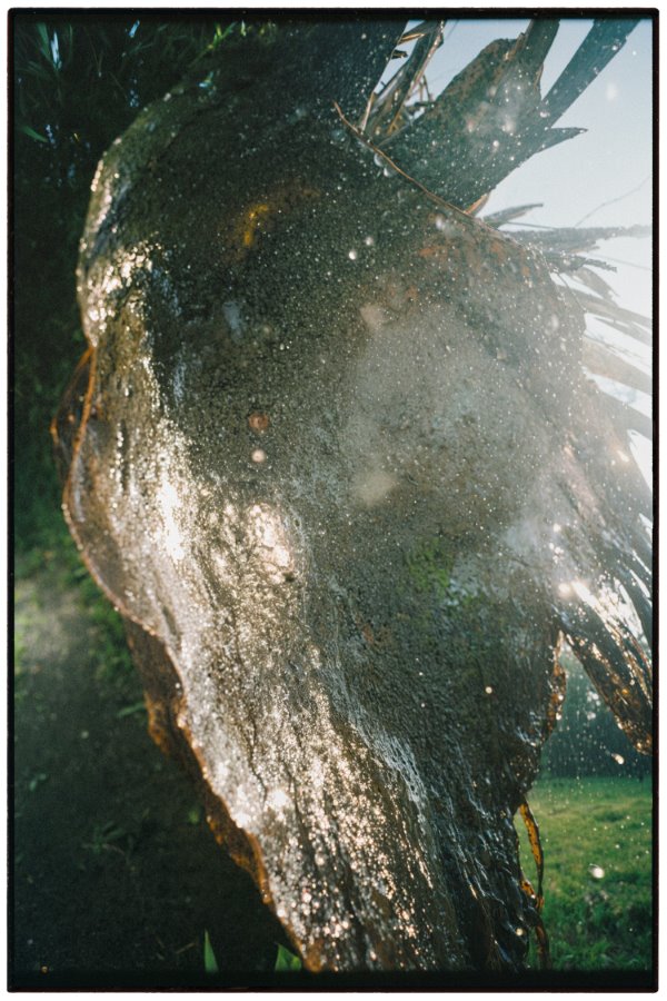 c64b6f84-cbb7-4140-acc4-dc601579b14b copy (900)