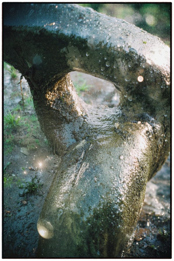 e744639c-d21a-41b2-bc1e-55285aa3b09b copy (900)